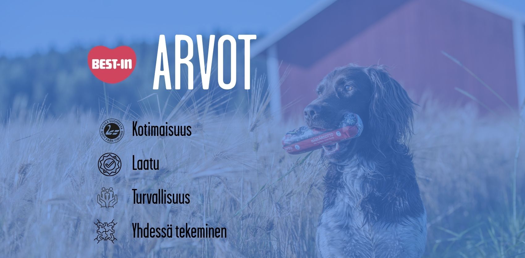 best-in-arvot