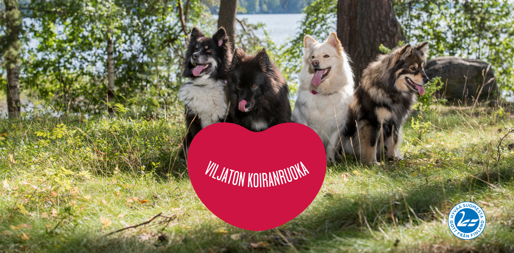 viljaton koiranruoka